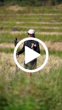 BIB:  <button type="button" onclick="openModal(26787301)" class="btn btn-primary btn-sm float-right" data-toggle="modal" data-target=".modal-high-quality">
                <i class="fa fa-download"></i> Download
                </button>